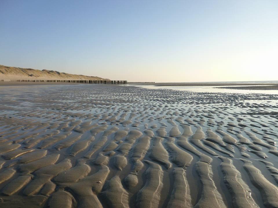 דירות אלמייט La Casa Aan Zee מראה חיצוני תמונה